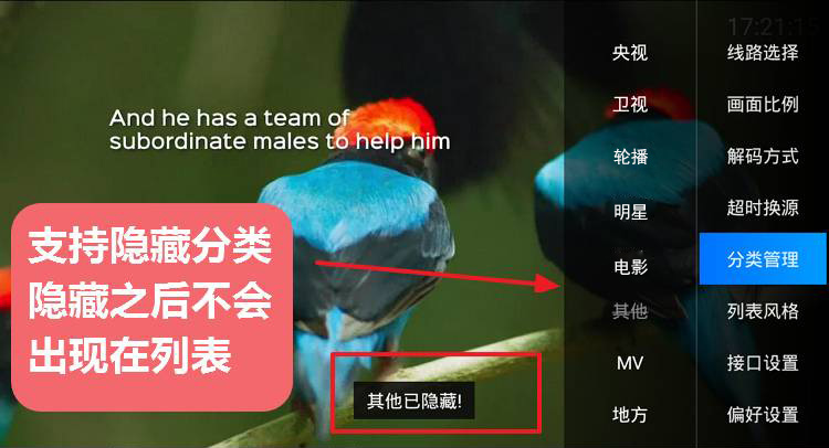 DIYP影音经典版 强大且良心的盒子直播-第5张图片-分享迷