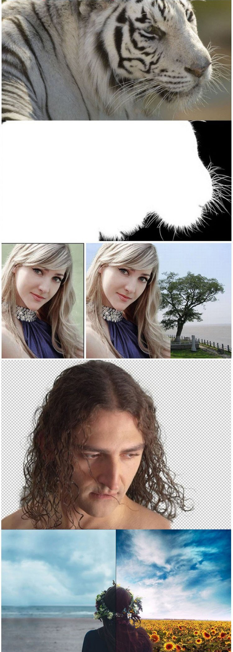 抠图神器Topaz ReMask 5 汉化版（Win/Mac）-第4张图片-分享迷