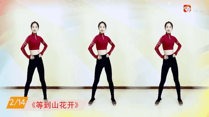 糖豆广场舞TV 3.1.0 VIP版-第5张图片-分享迷