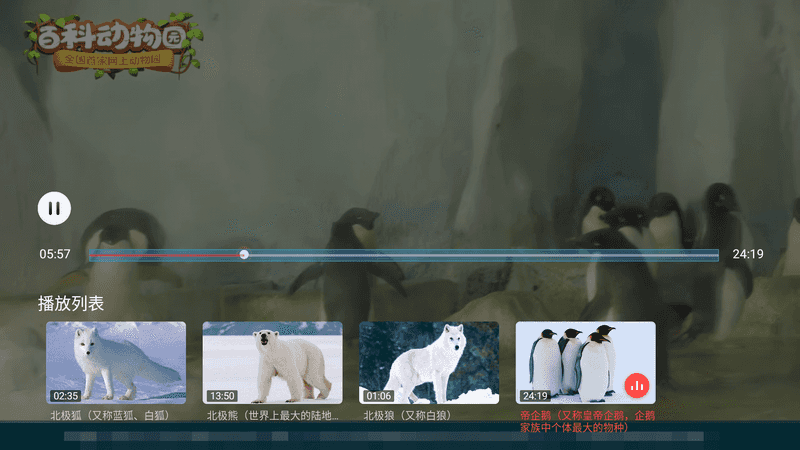 百科动物园TV 线上动物园 高清无限制-第7张图片-分享迷