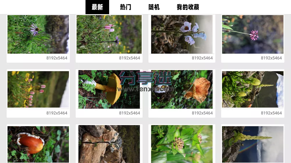 wow电视壁纸 v1.6 2K/4K/8K电视壁纸-第3张图片-分享迷