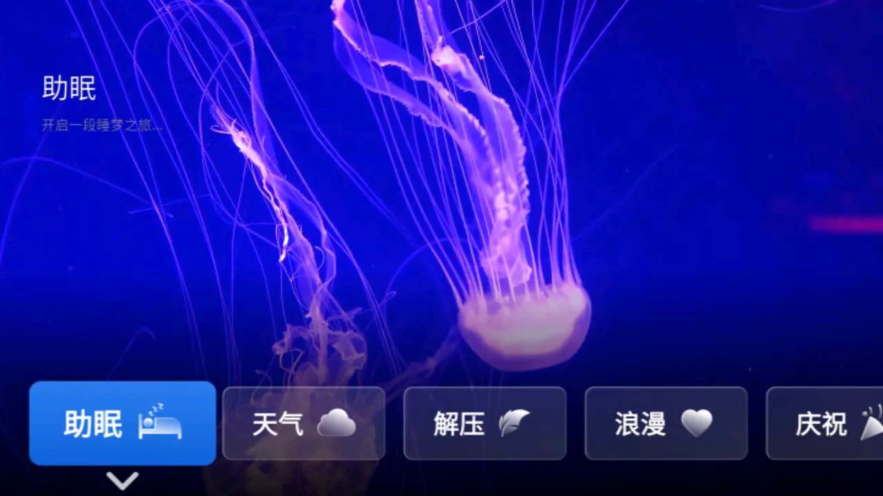 任意窗TV v2.5.1067 动态氛围 沉浸式体验-第1张图片-分享迷