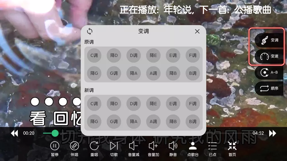 KTV v60.0.0 修复版 免费电视K歌-第5张图片-分享迷
