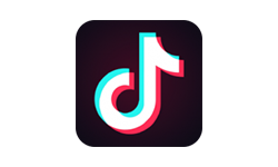 抖音国际版 支持选区 无需拔卡 免翻 安卓