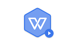 WPS Office 2019 v11.8.2.10972  中石油专用版